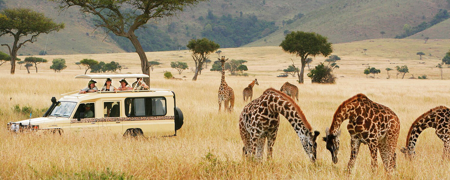 Best Safari Destination In Tanzania
